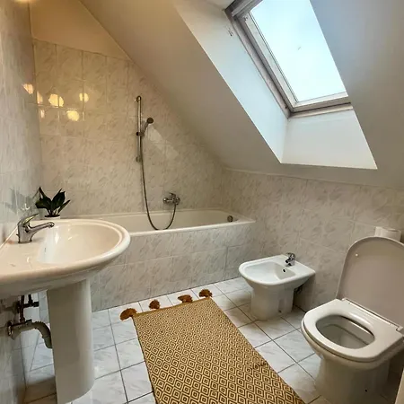 Cozy Comfort Loft プラハ