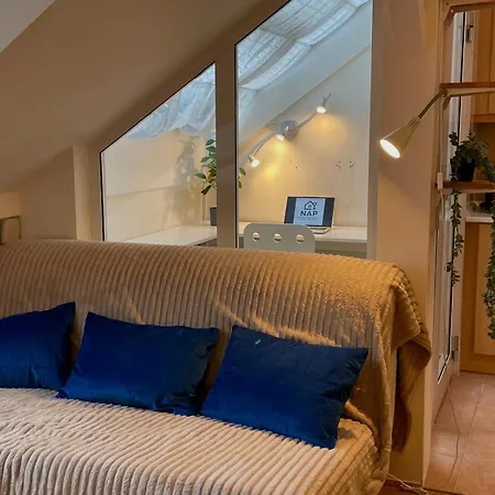 Cozy Comfort Loft